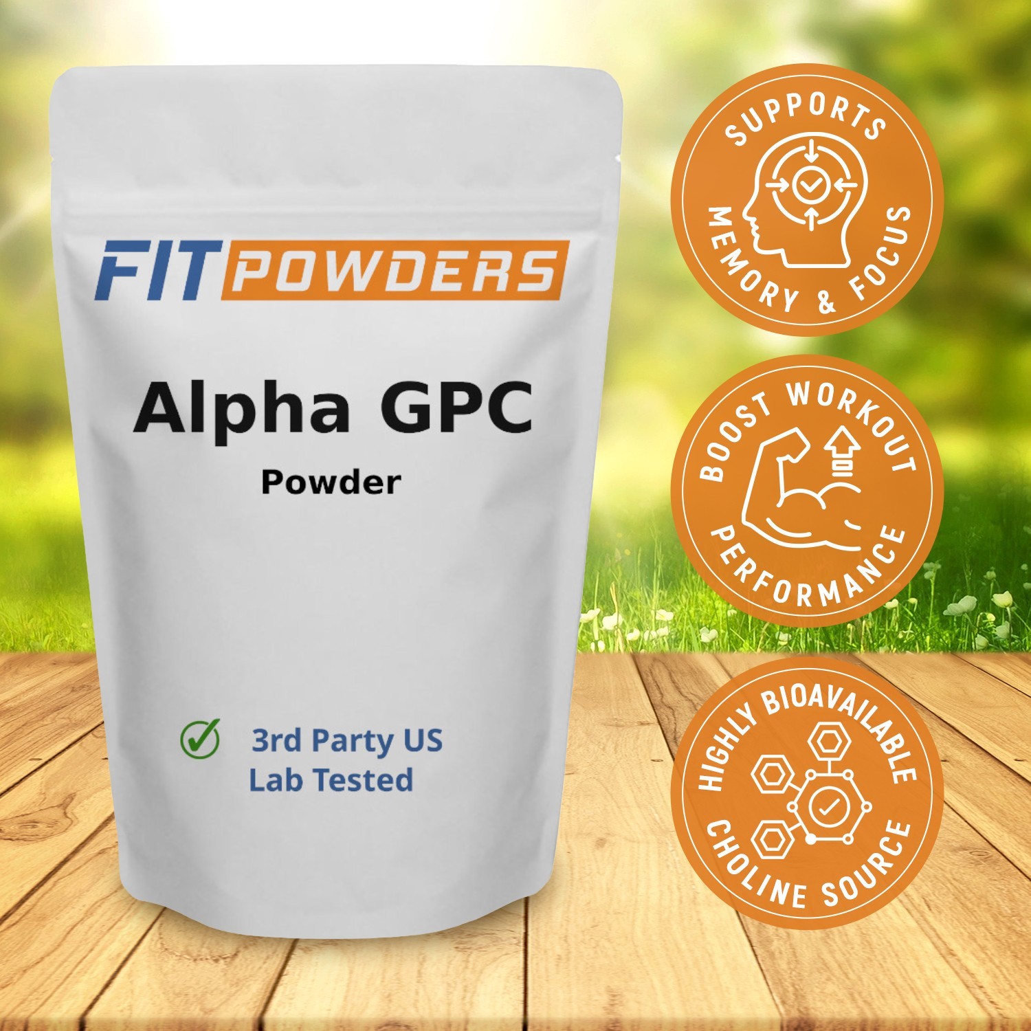FitPowders Alpha-GPC Powder 3rd Party Tested Non-GMO with Scoop (Variations)