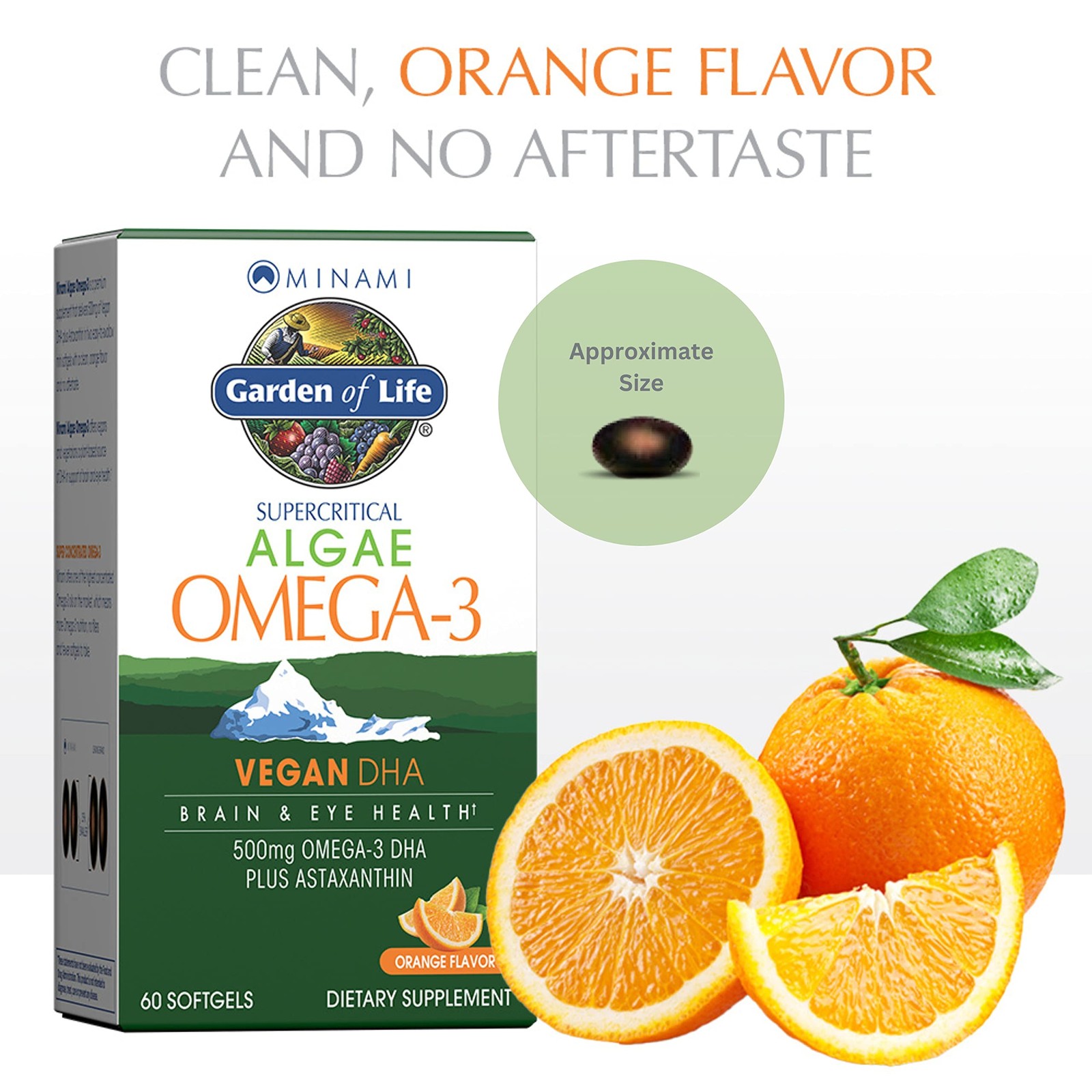Garden of Life Minami Algae Omega 3 Vegan DHA for Brain and Eye Health – Ora…