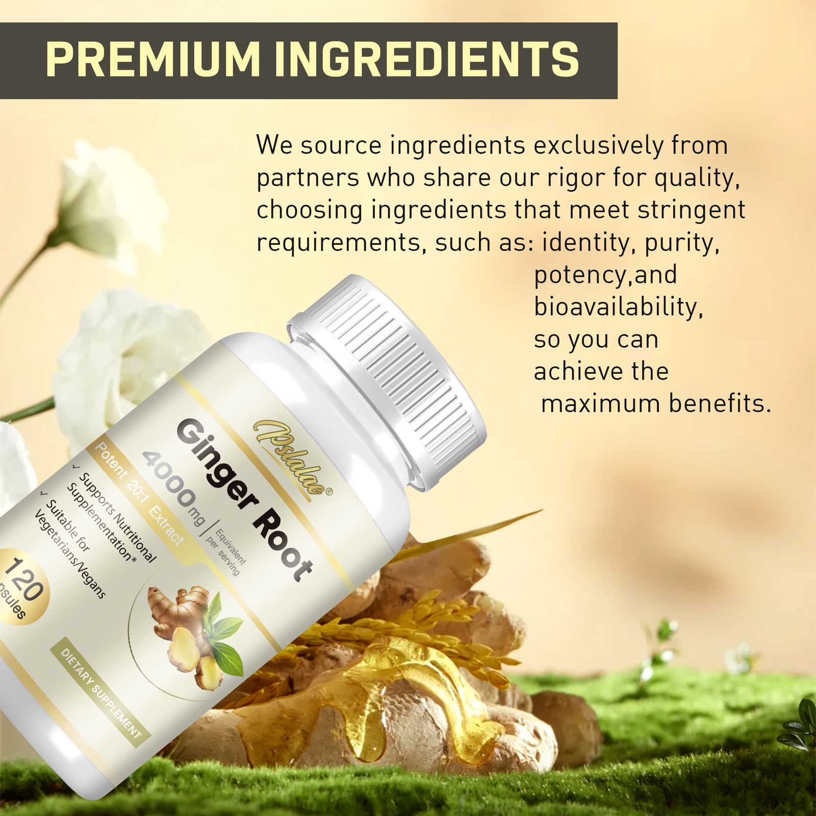 Ginger Root 4000mg – Highest Potency, Digestion, Nausea, Immune System Boost