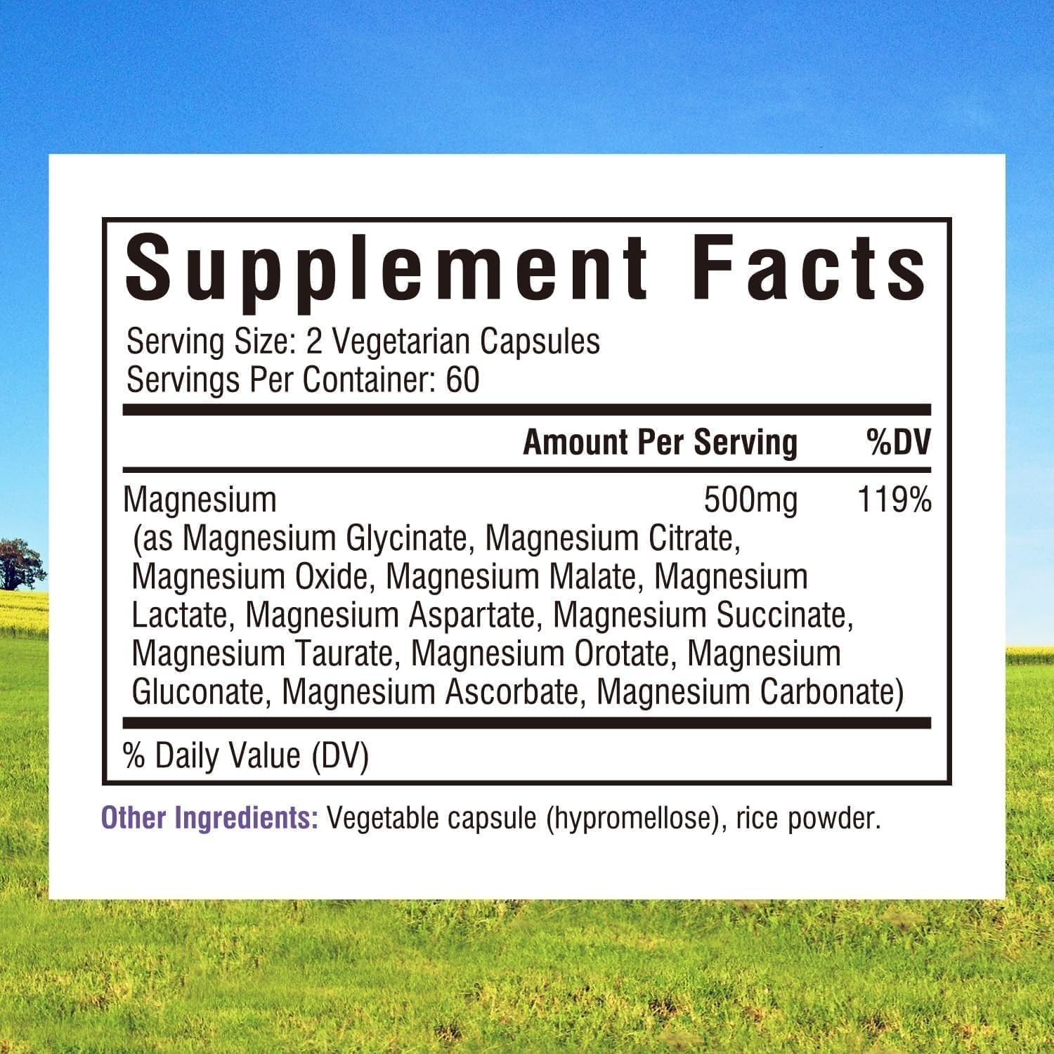 Innate Vitality 12-in-1 Magnesium Complex, 500 mg 120 Count (Pack of 1)..