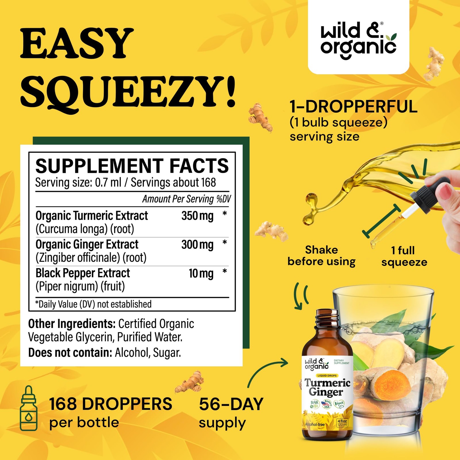 Wild & Organic Turmeric and Ginger Supplement – Movement & Immunity – 4 oz |