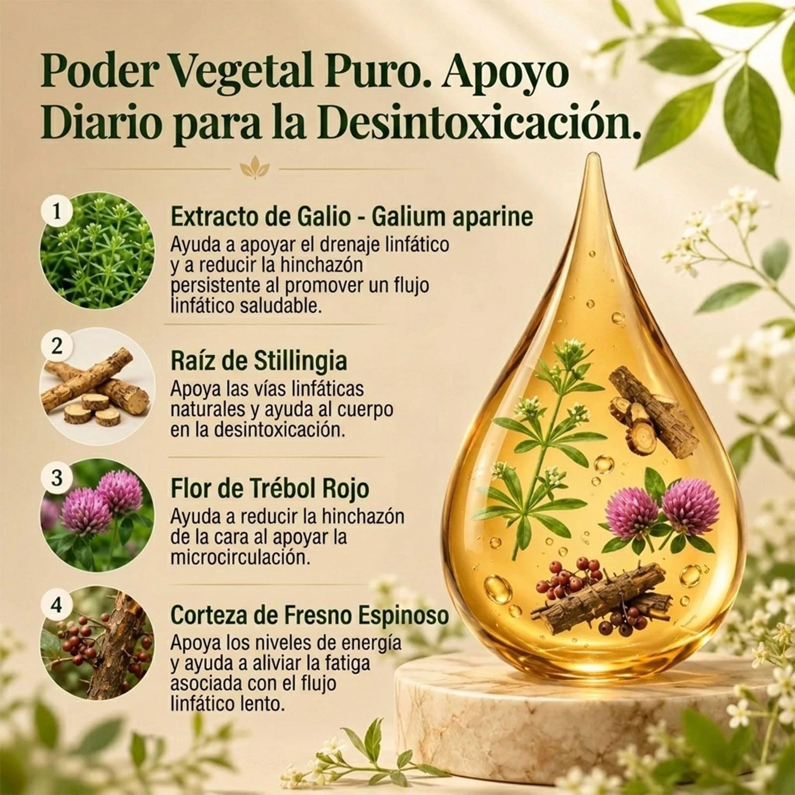 Mayaverra Lymphatic Drainage Drops Herbal Liquid Lymph Support Wellness Tincture