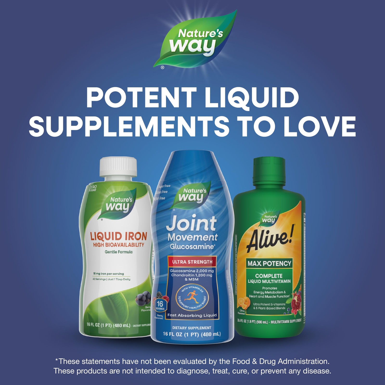 Nature’s Way Joint Movement Glucosamine Liquid, 16 Oz