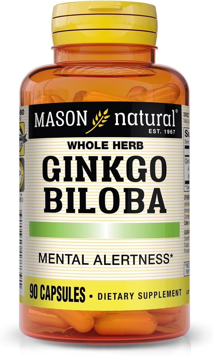 High Potency Ginkgo Biloba Capsules 125 mg for Memory & Concentration – 90 Count