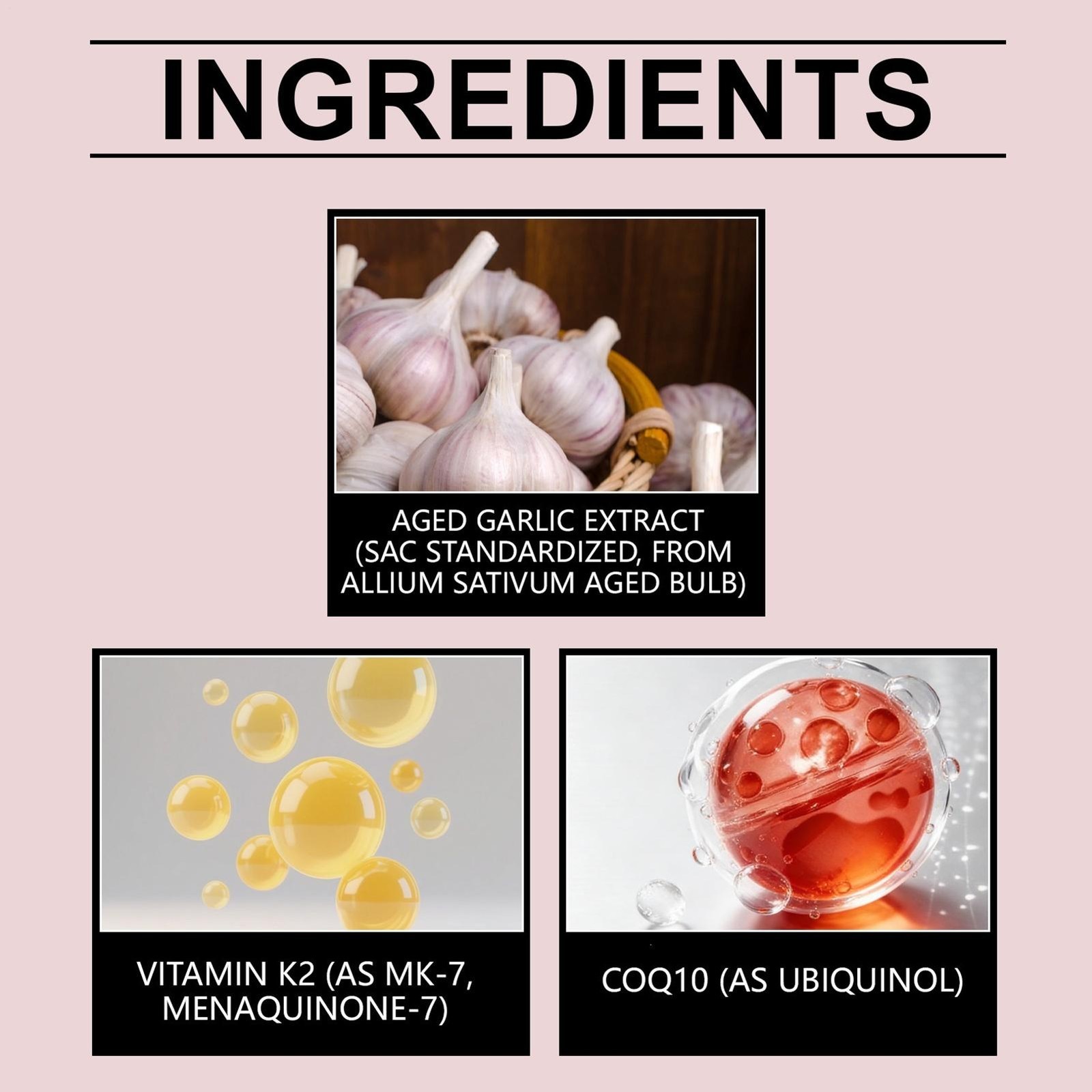 5x Odorless Age-Resilient Aged Garlic 600 mg Softgels (60 Count) with CoQ1* USA