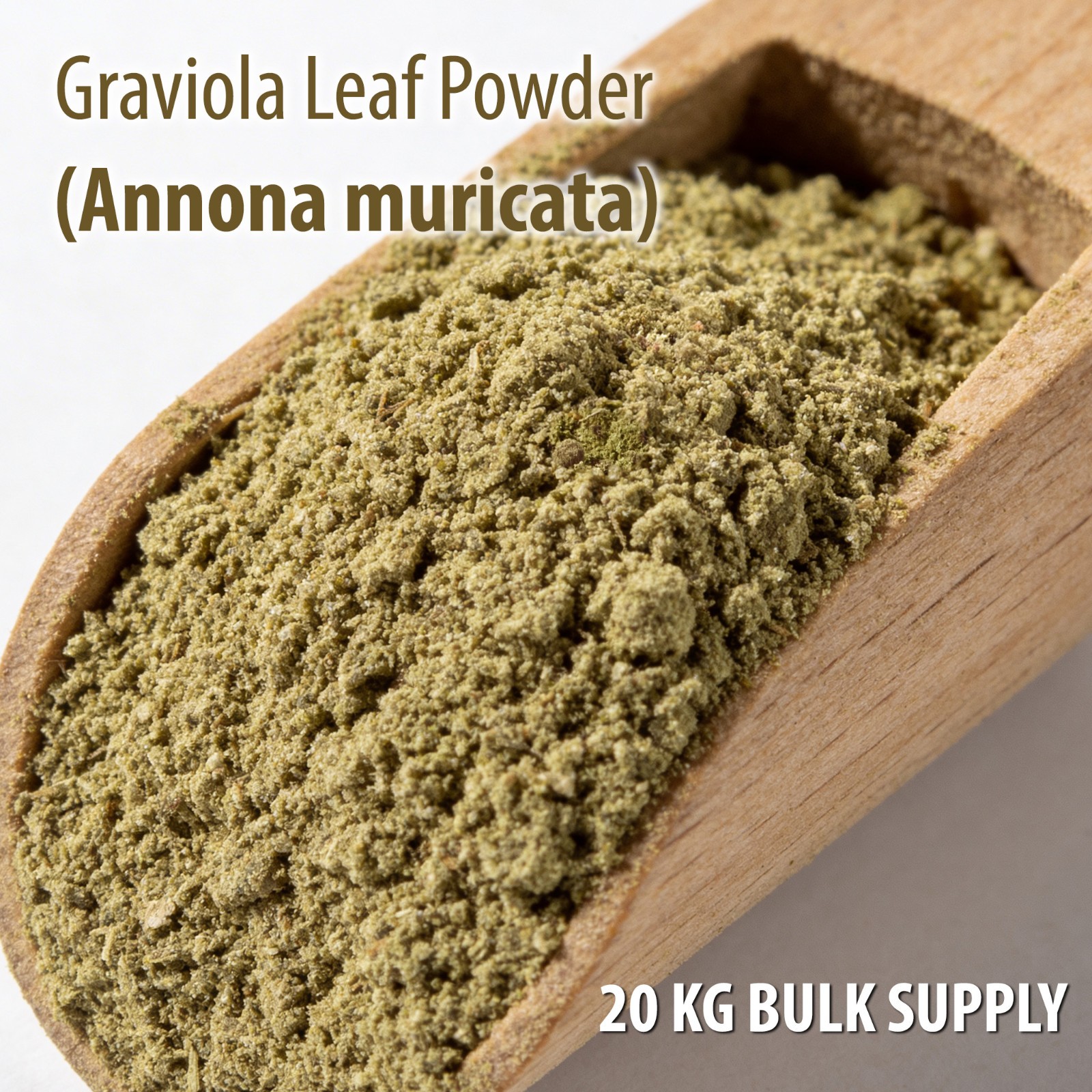 Graviola Leaf Powder 20KG Bulk Annona Muricata | Soursop Wholesale Supply