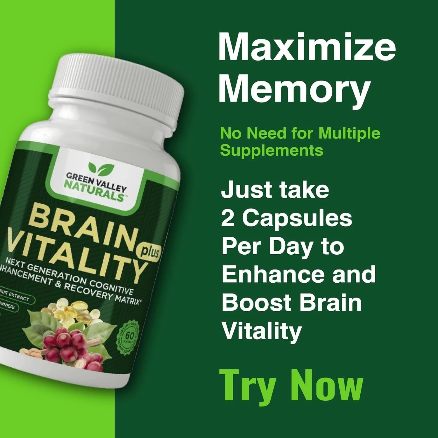 GREEN VALLEY NATURALS Brain Vitality Plus Nootropic for Memory Focus 60ct Ex6/26