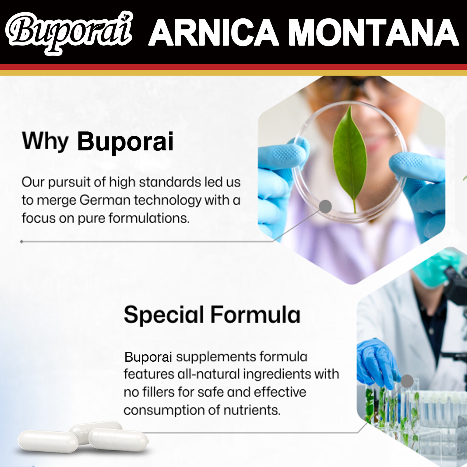 Arnica Montana 500mg -Reliever for Swelling & Bruises, Anti-Inflammatory Support