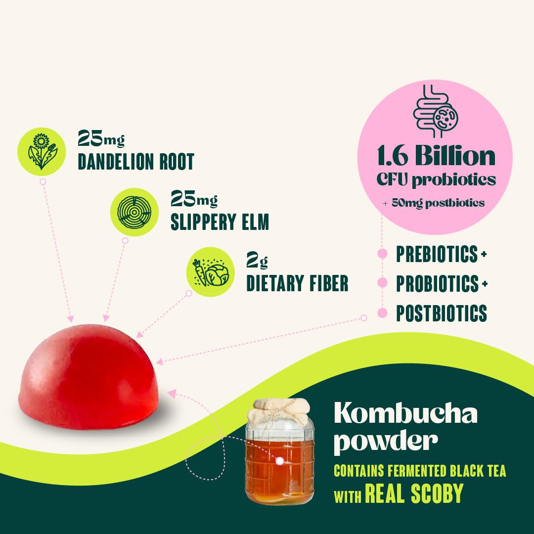 Probiotic Kombucha Gummy – Prebiotics, Probiotics, Postbiotics, Fiber Supplement