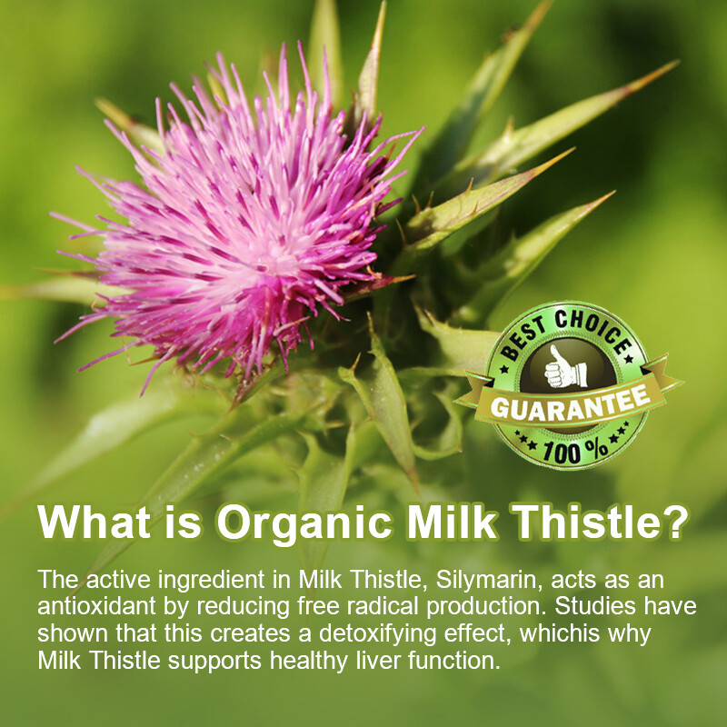 Milk Thistle Liver Cleanse, Detox Repair Formula, 2600 mg per serving