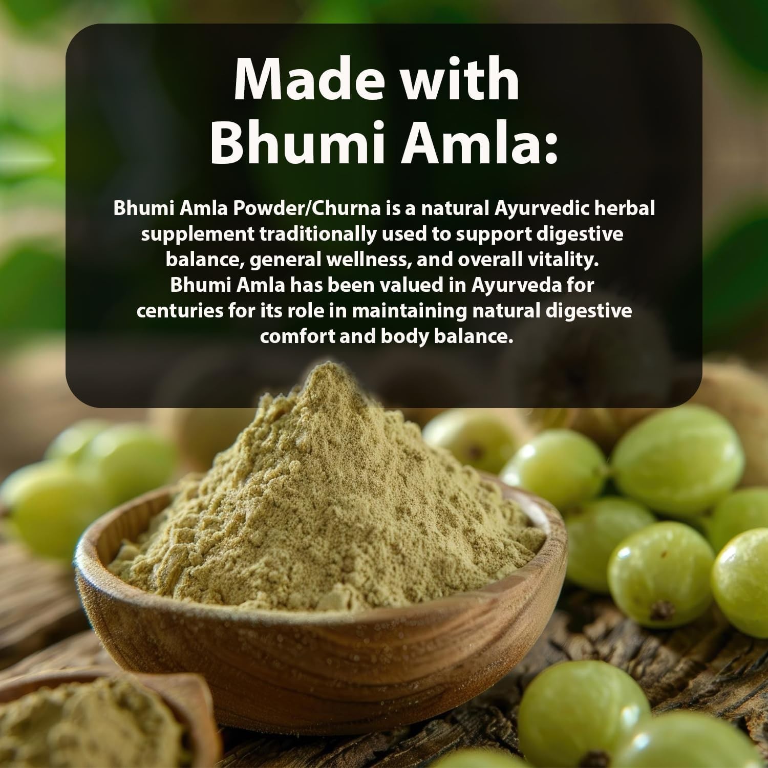 Bhumi Amla Powder100gm Churn Organic And Pure Ingredient Extract Healthy Liver