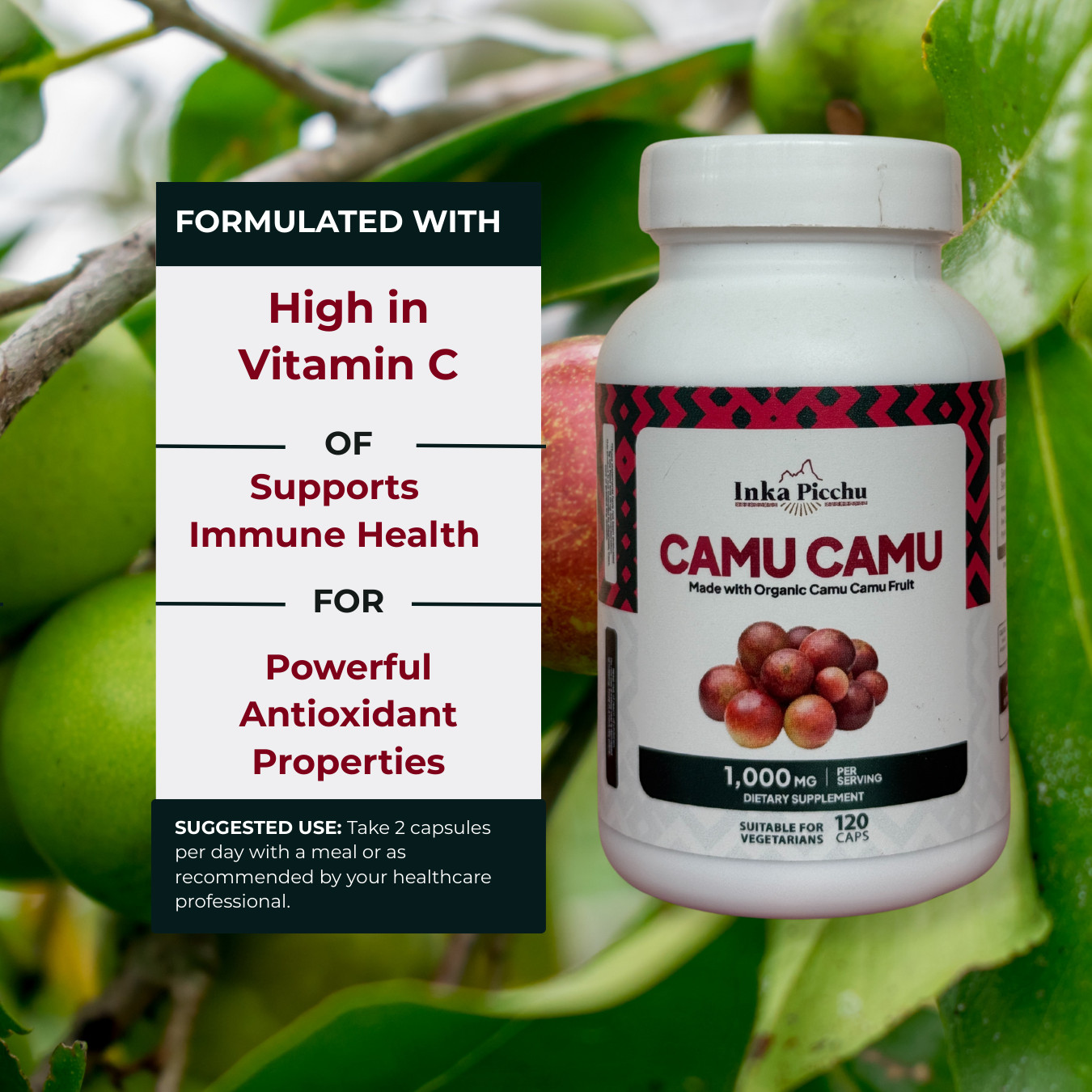 Premium Camu Camu Capsules 120 Ct 1000mg Per Serving Immune Support & Vitamin C