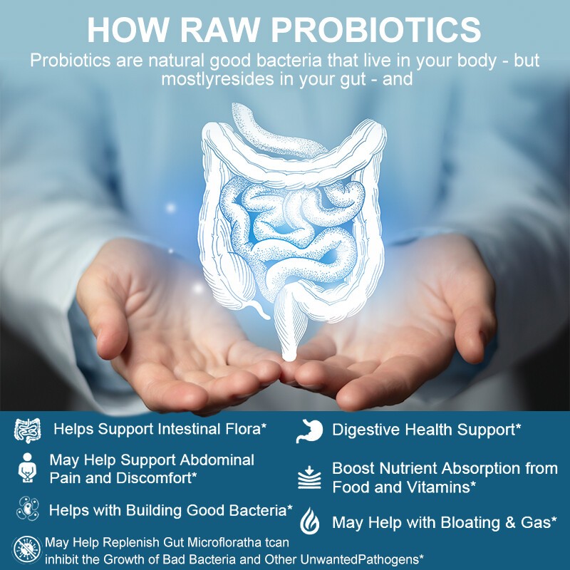 Probiotics Digestive Enzymes 100 Billion CFU Potency Immune Health 120 Capsules