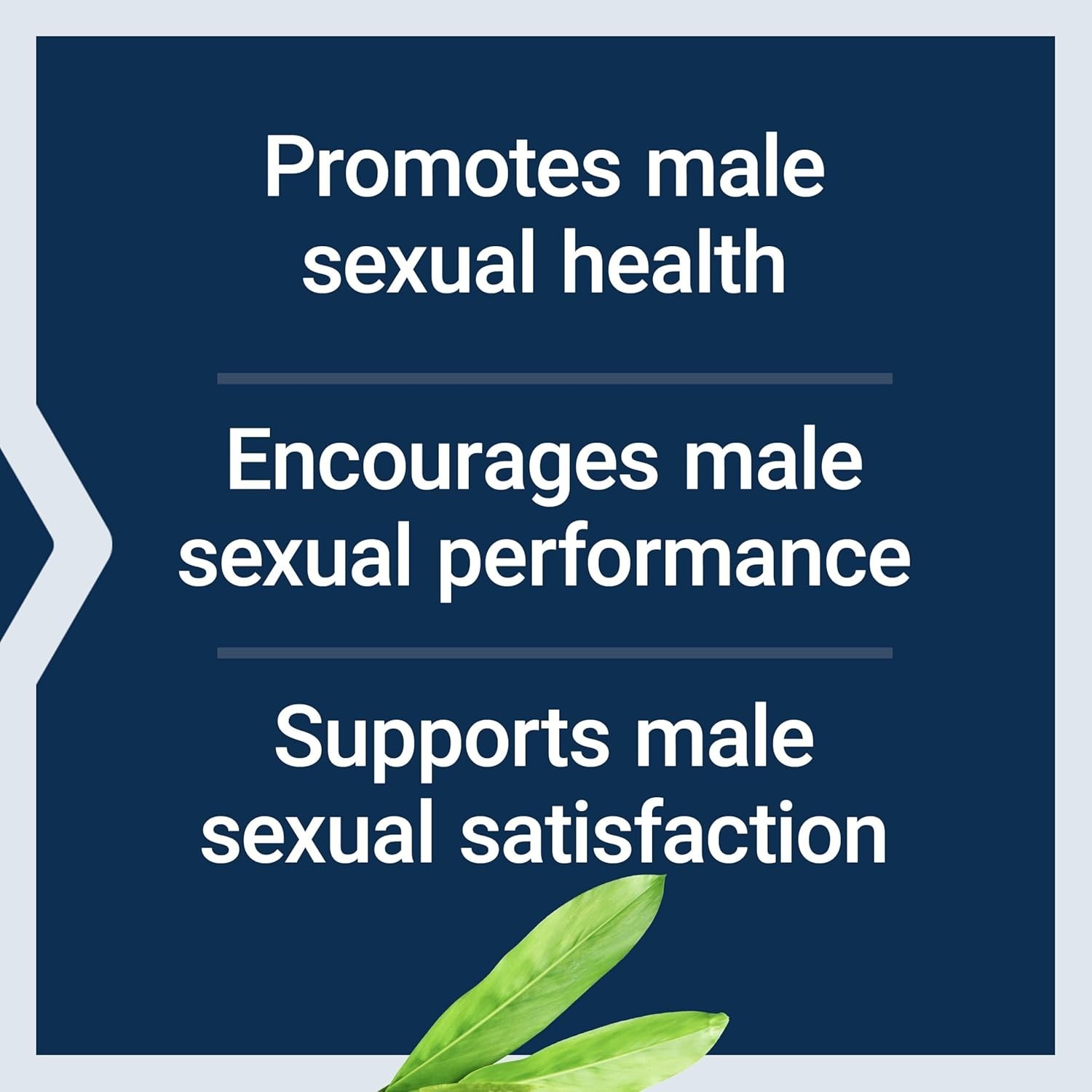 Life Extension Male Vascular Sexual Support 5X30 Veg Caps pack of 5
