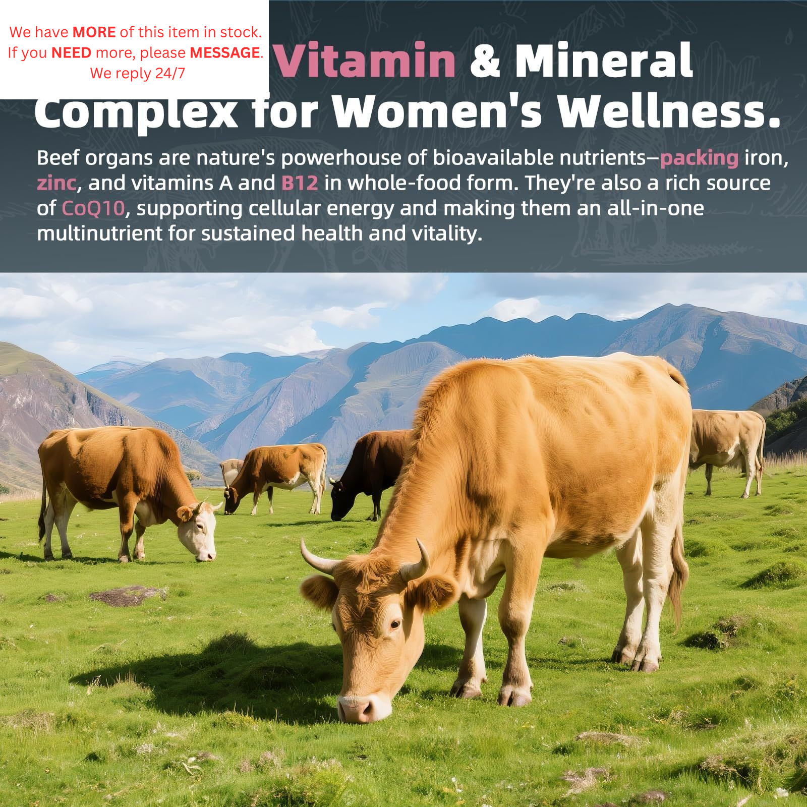 Beef Organ Supplement for Women – 90 Count (Pack of 1), Brown