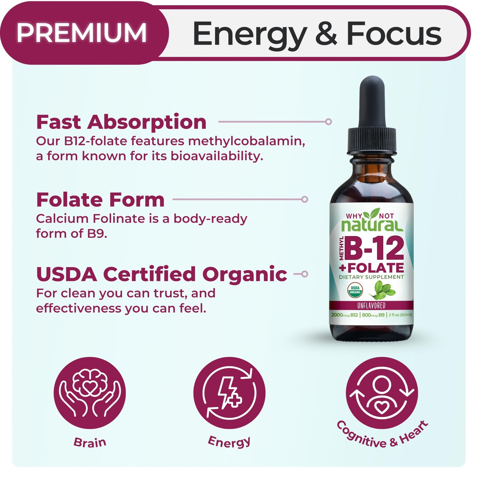 Why Not Natural Vitamin B12 Liquid Plus Folate – 2 Fl Oz (Pack of 1), Red