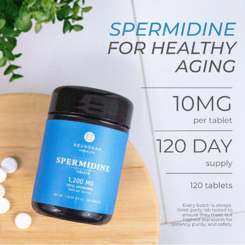 Suplemento de espermidina para la salud celular, antienvejecimiento y energía