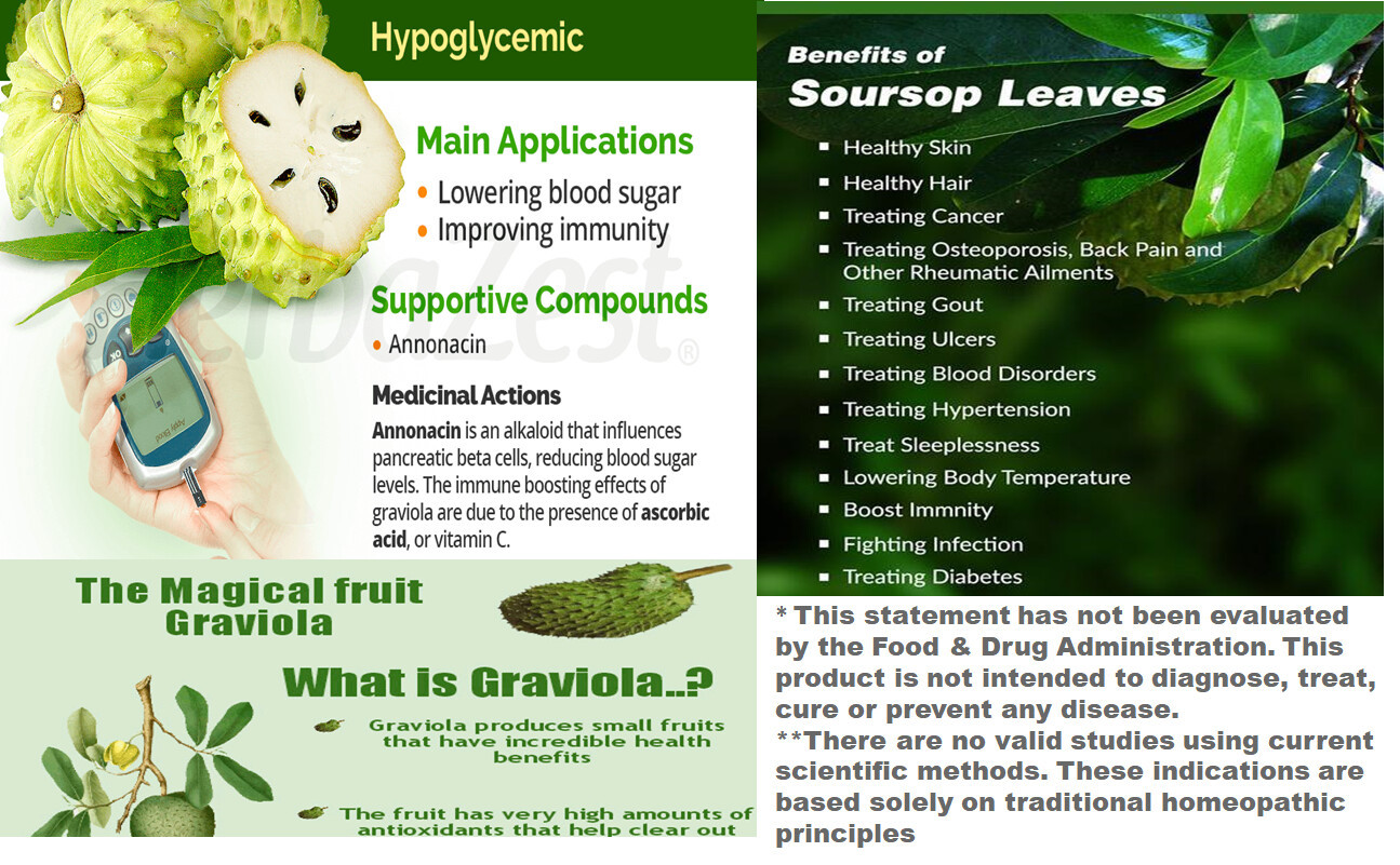 Pure 100% Organic Vitamins Vitamisan Soursop Leaf Total 2500 Mg Graviola