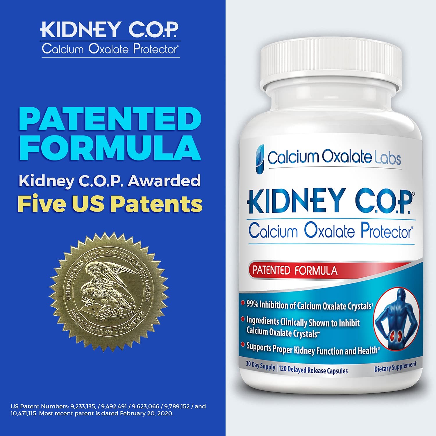 KIDNEY C.O.P. Calcium Oxalate Protector 120 Capsules, 120 Count (Pack of 1)