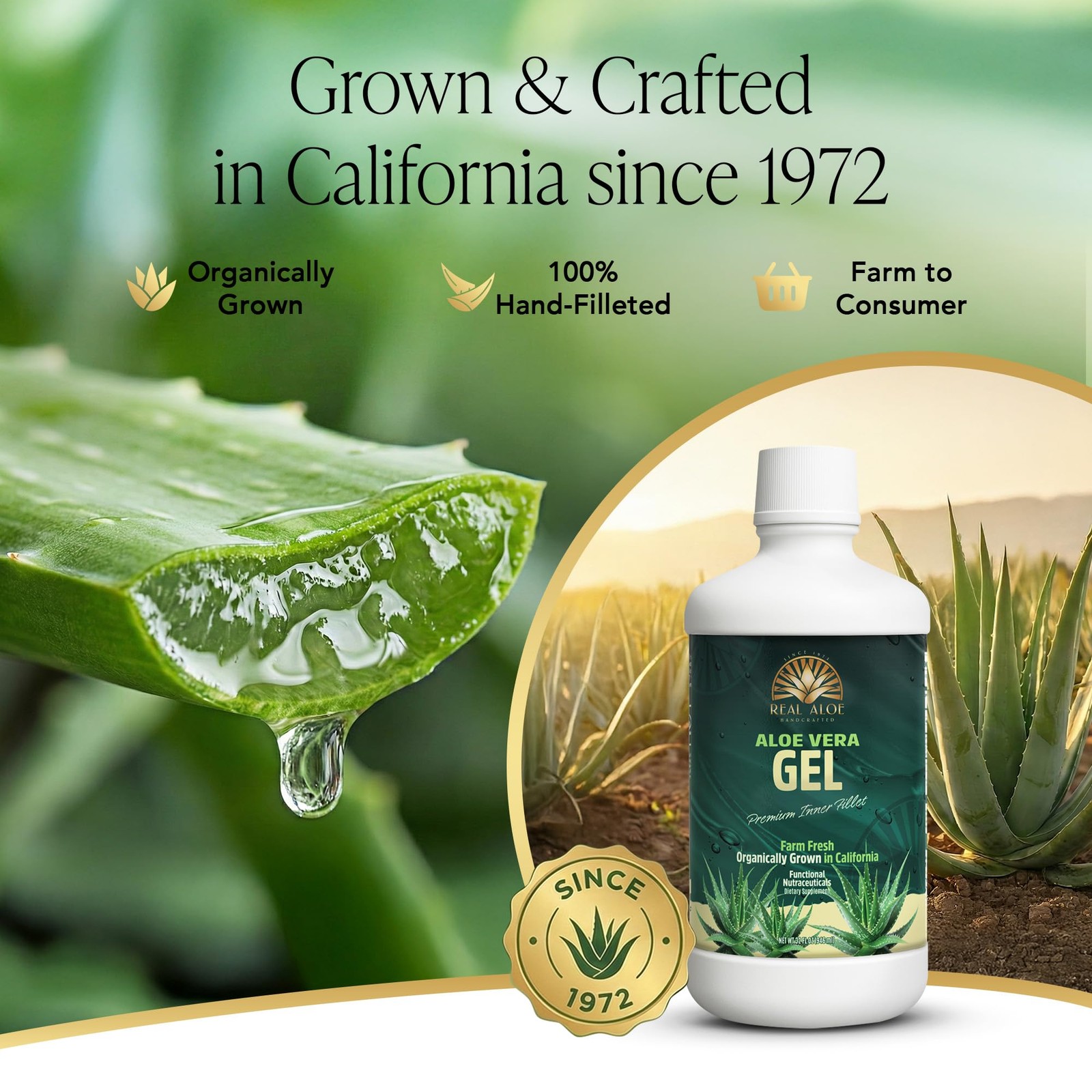 Real Aloe Aloe Vera Gel (32 fl oz) | Hand-Crafted from California Organically…