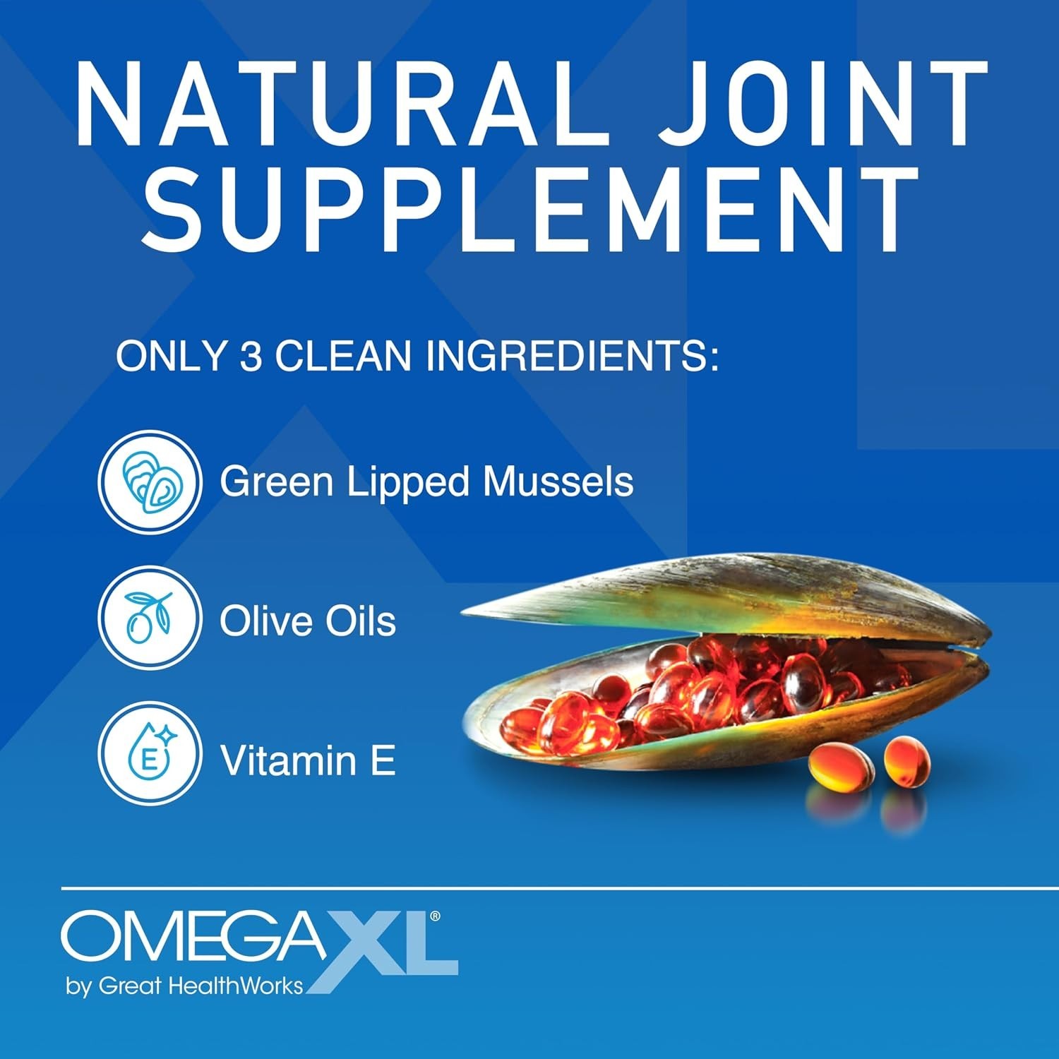 OmegaXL Joint Support Supplement Green Lipped Mussel Oil Softgels 120 Count