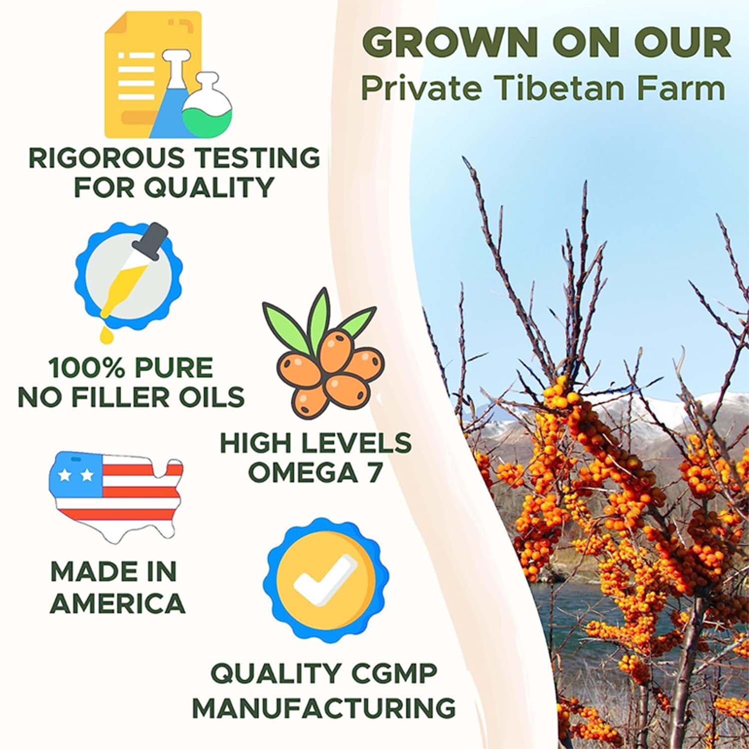 Omega-7 Complete – with Organic Sea Buckthorn Oil, Anti-aging, Antioxidant