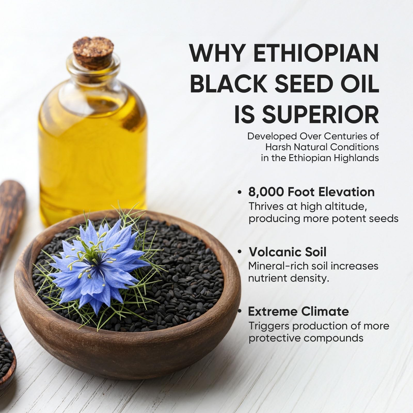 Organic Black Seed Oil Capsules – 4.64% Thymoquinone, Non-GMO, Gluten-Free, 60 S
