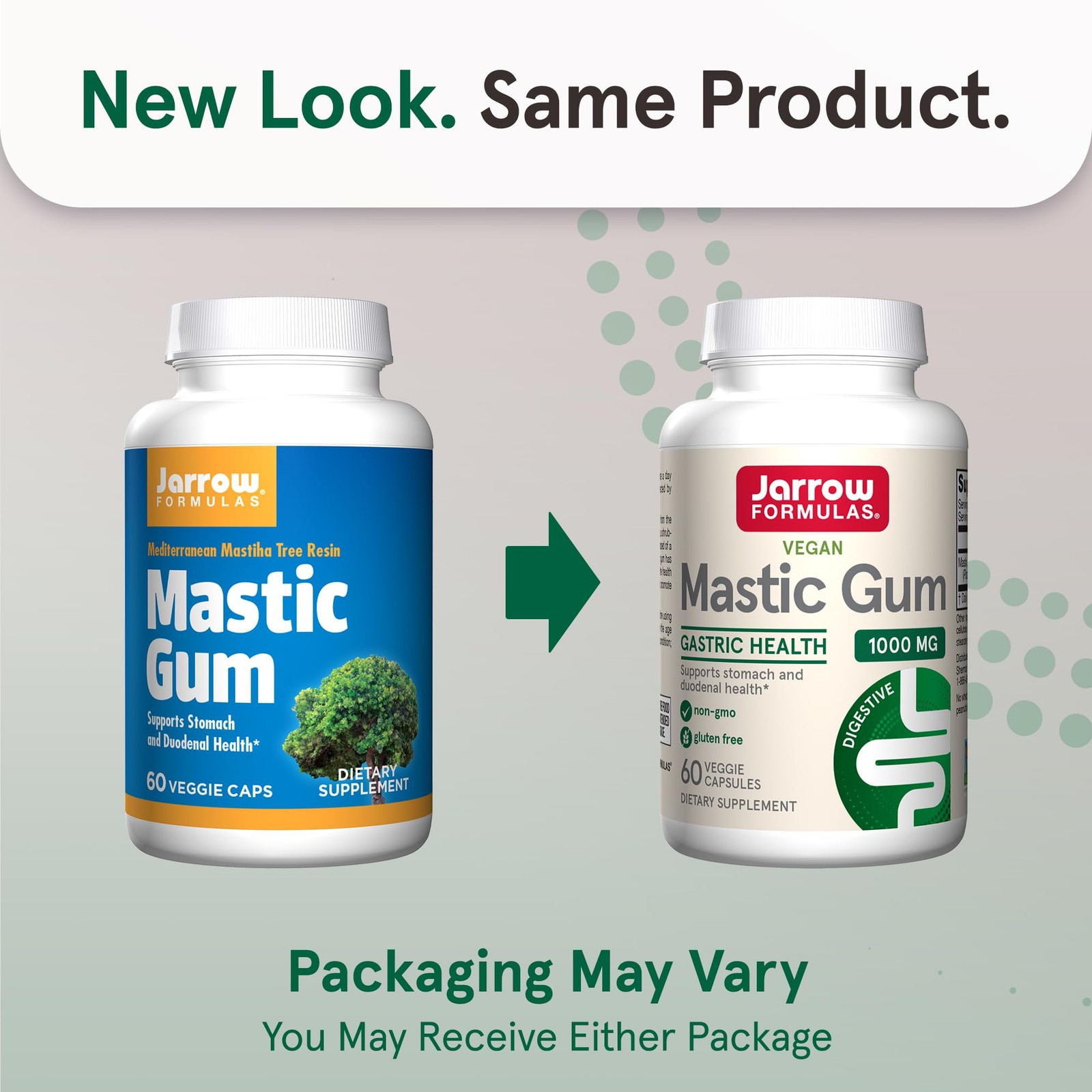 Jarrow Formulas Mastic Gum 1000 mg – 60 Veggie 60 Count (Pack of 1), White