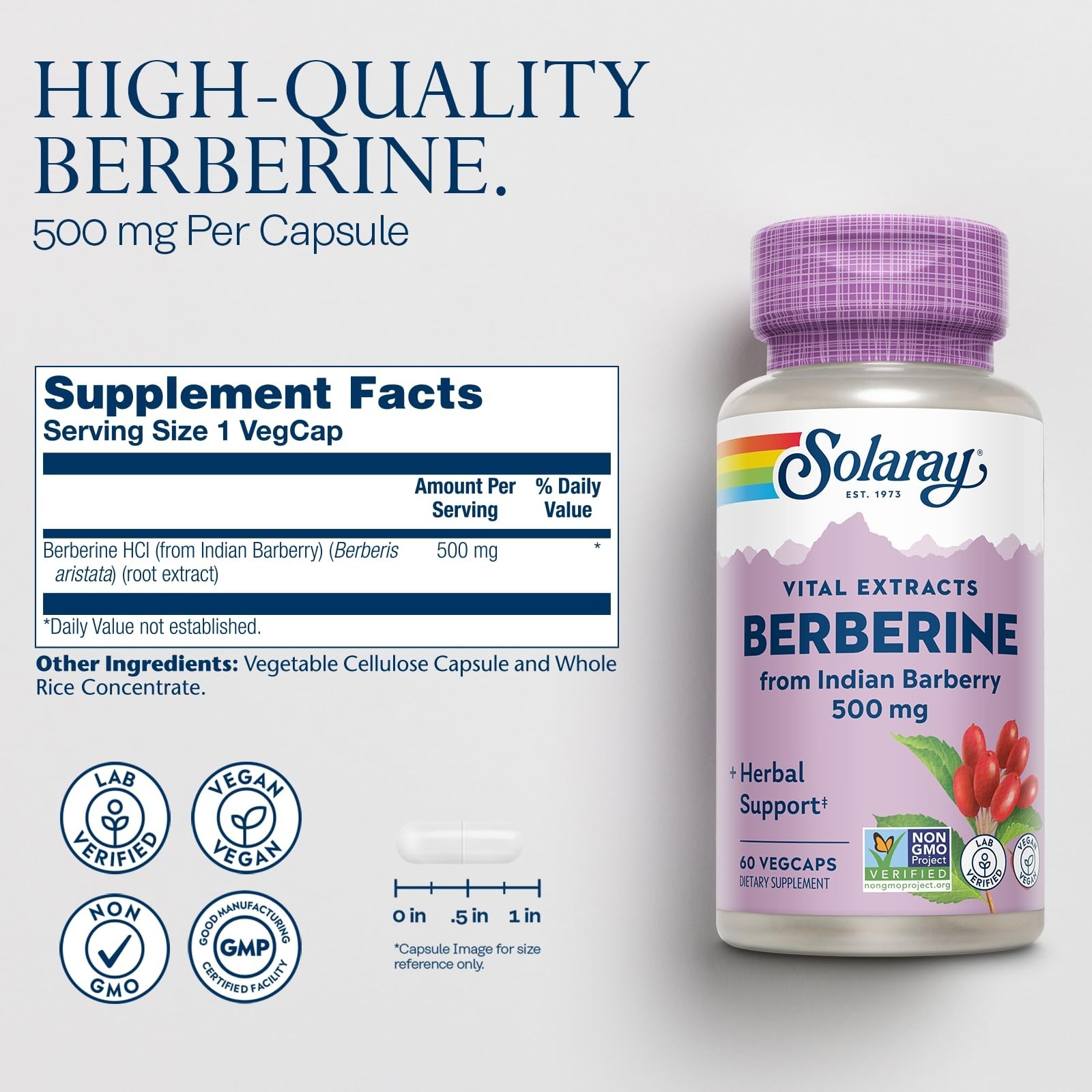 Berberine Extract 500mg – 60 VegCaps for Metabolism & Ketone Support, AMPK Activ
