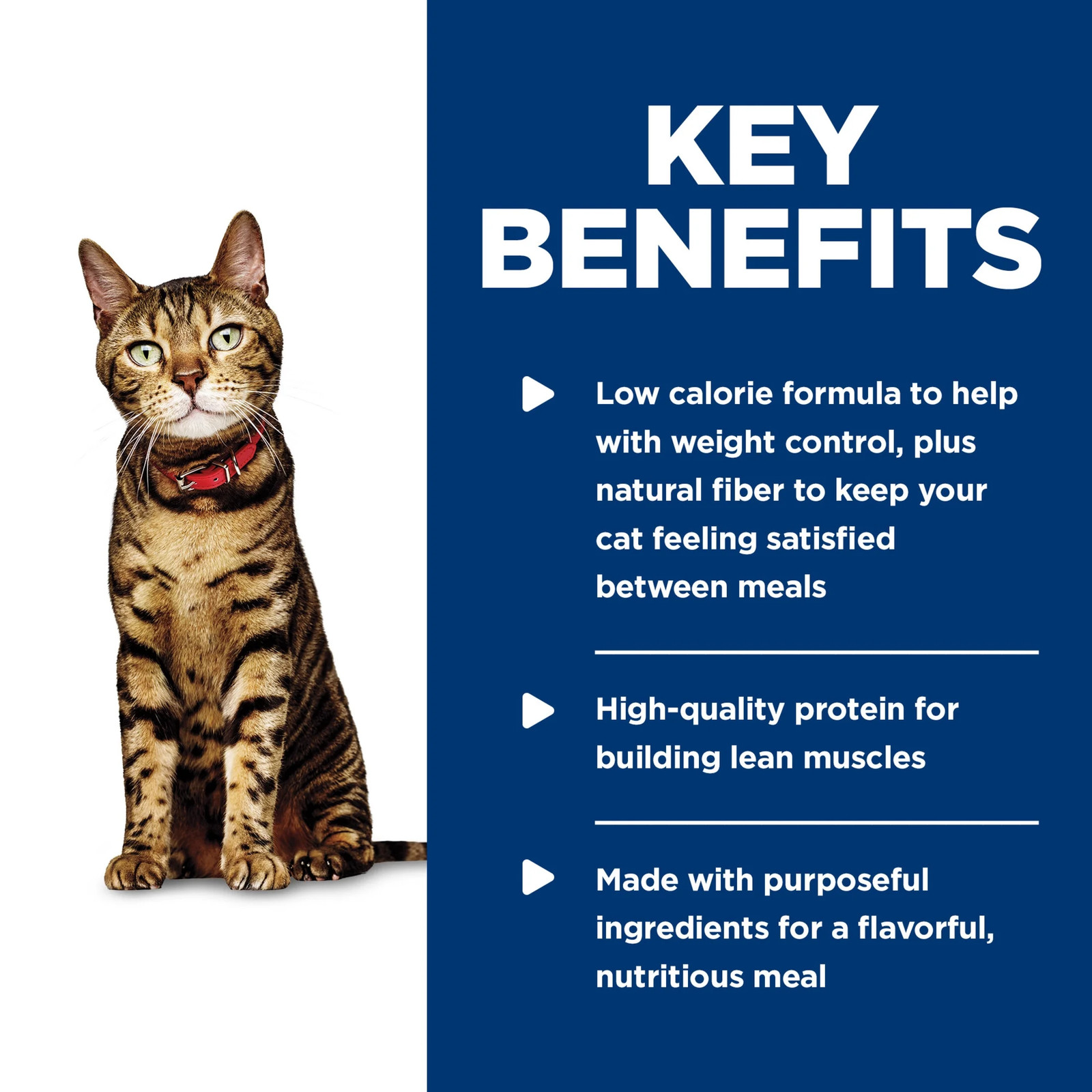 Light Liver & Chicken Wet Cat Food, 2.9Oz Can 24Pk