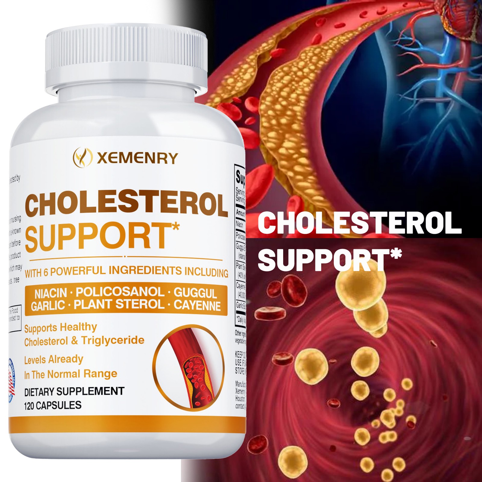 Cholesterol Support – Balance Cholesterol Supplement High Cholesterol Lowering