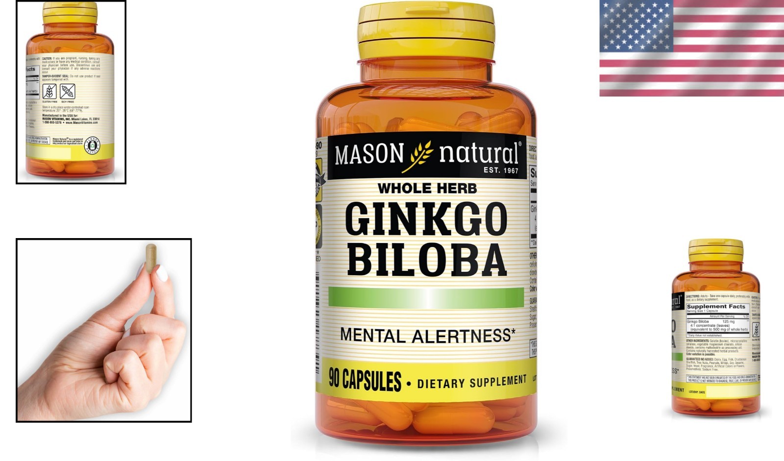 High Potency Ginkgo Biloba Capsules 125 mg for Memory & Concentration – 90 Count