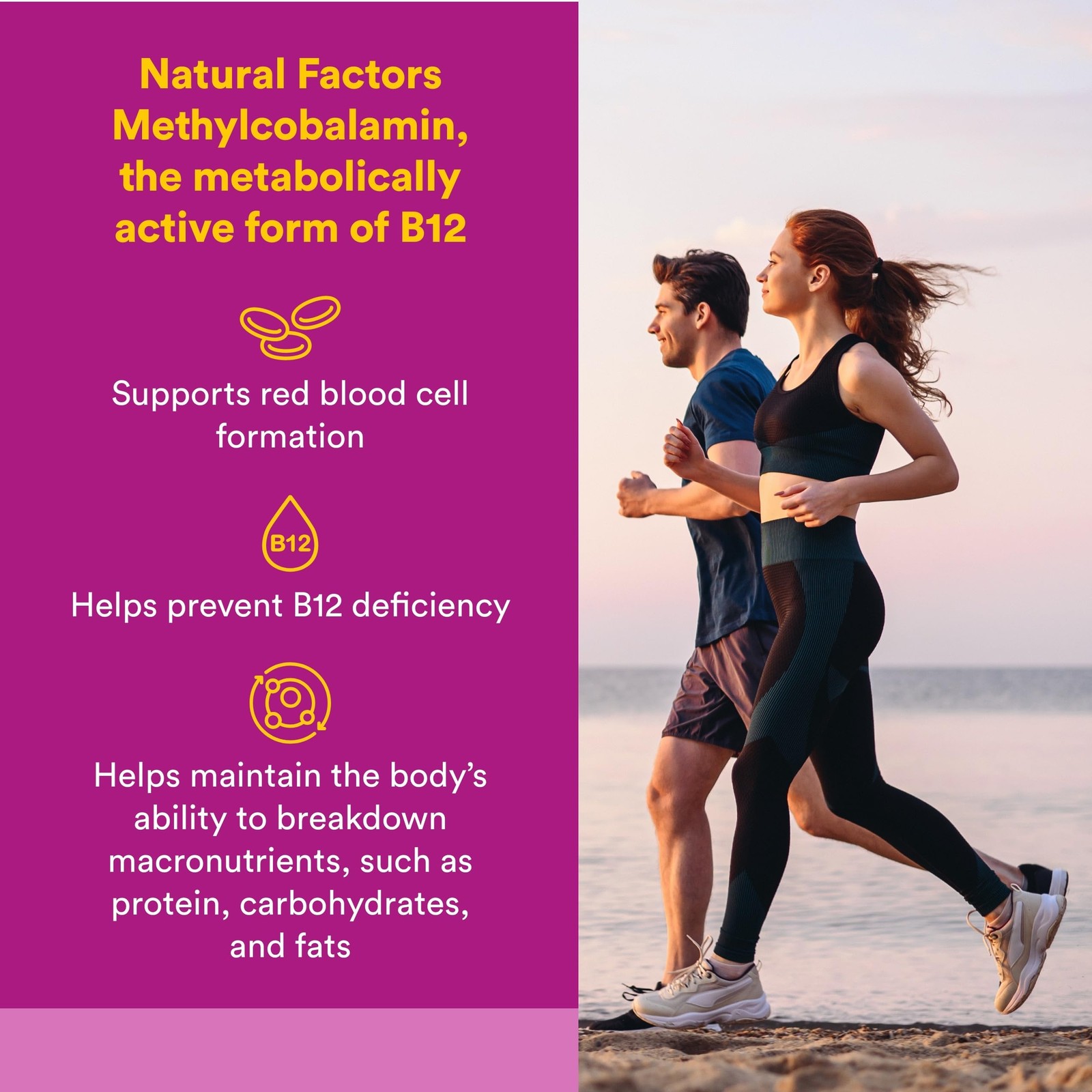 Natural Factors, Vitamin B12 Methylcobalamin 1000 mcg, 90 count (Pack of 1)