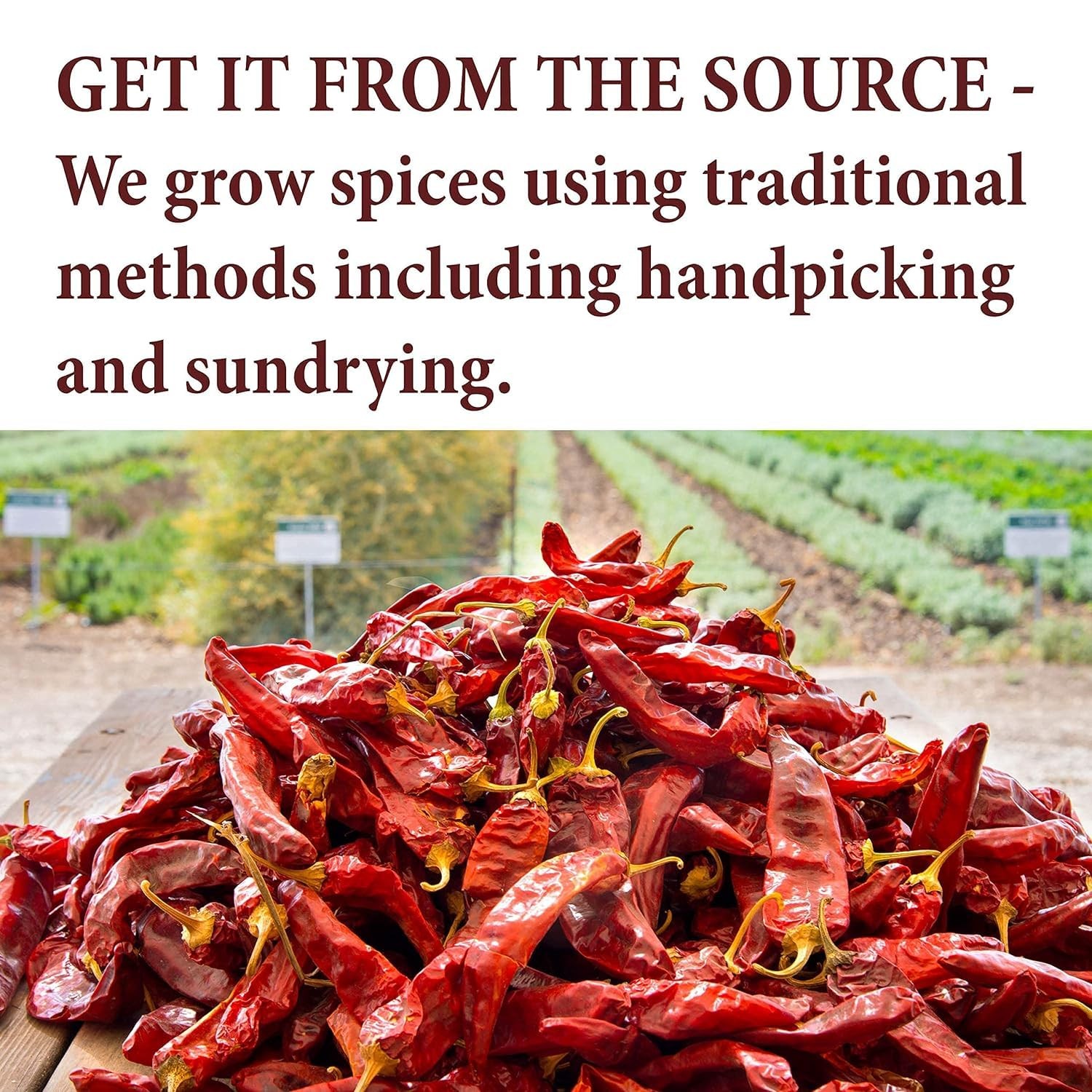 The Spice Way Fenugreek – ground (8 oz) great for Indian 8 Ounce (Pack of 1)