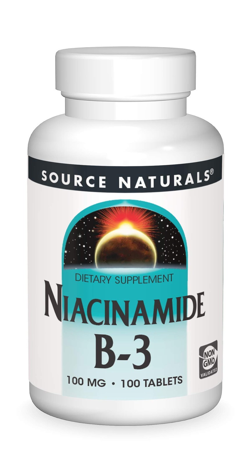 Source Naturals Niacinamide B-3, 100 mg Dietary 100 Count (Pack of 1)