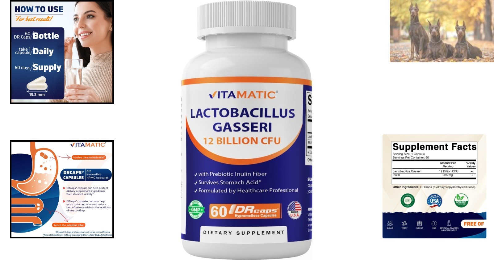 60 Count Lactobacillus Gasseri Capsules – Boost Digestive Health & Gut Balance