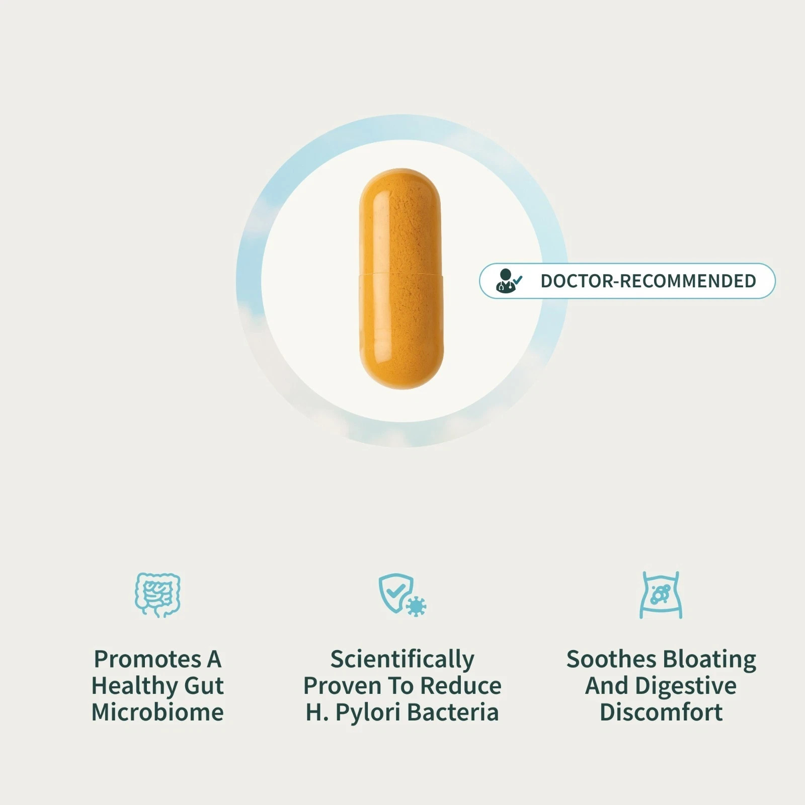 SNAP Gut Health Probiotics Digestive Enzymes Turmeric PYLOPASS H Pylori Suppleme