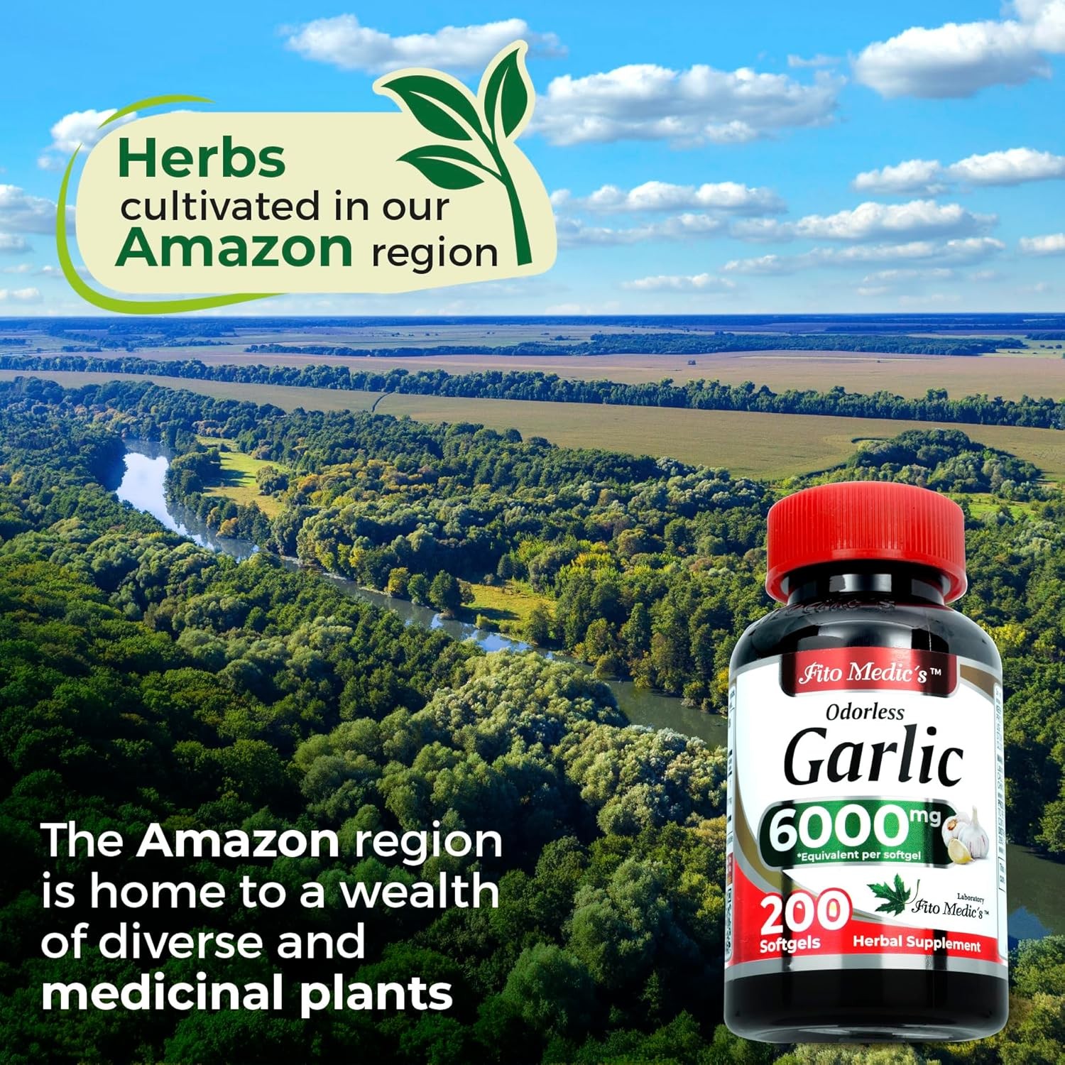 Garlic Pills 6000 mg Equivalent 200 softgels Organic Garlic 200 Softgels Garlic