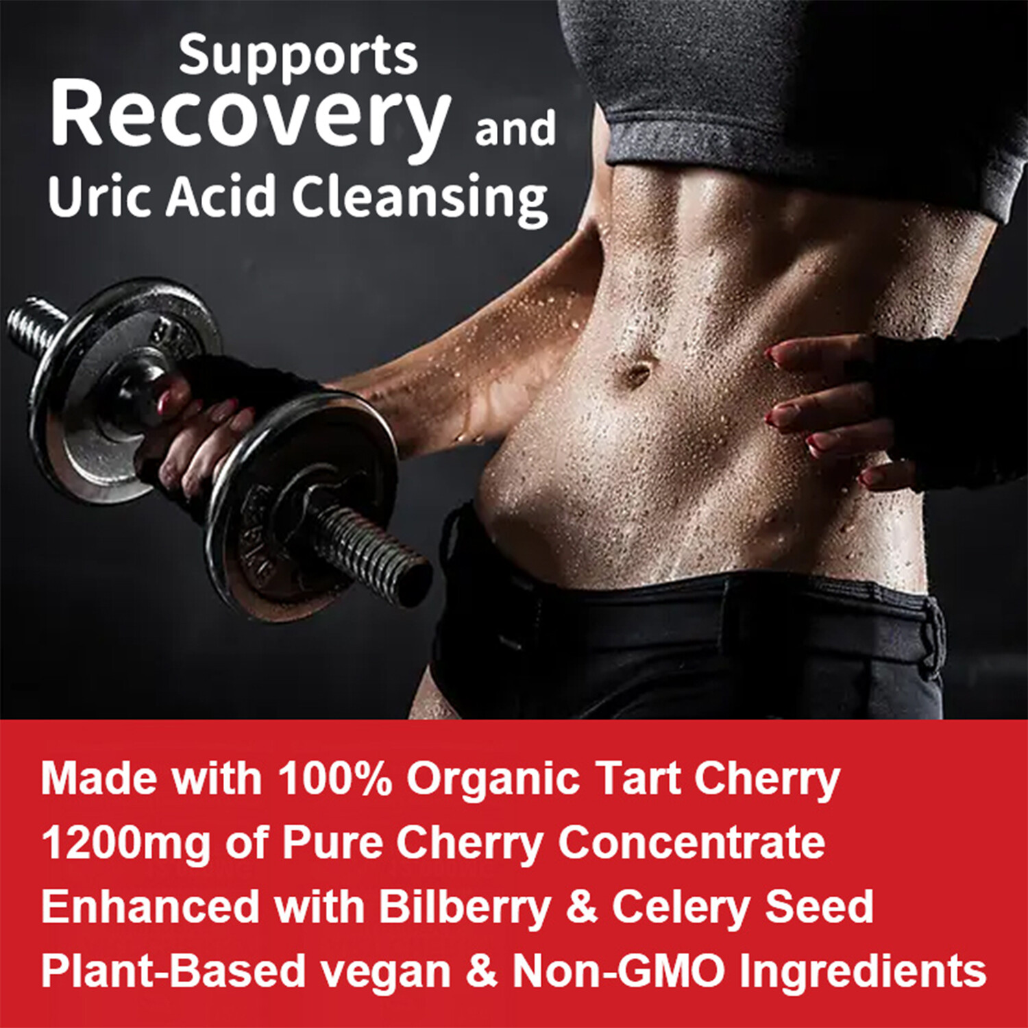 Tart Cherry Bilberry & Celery Seed – Supports Uric Acid, Relieve Joint Pain