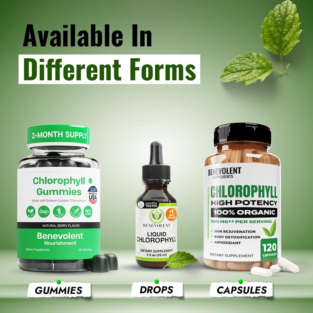 Chlorophyll Supplement Natural Antioxidant Immune Wellness Whole Body Balance