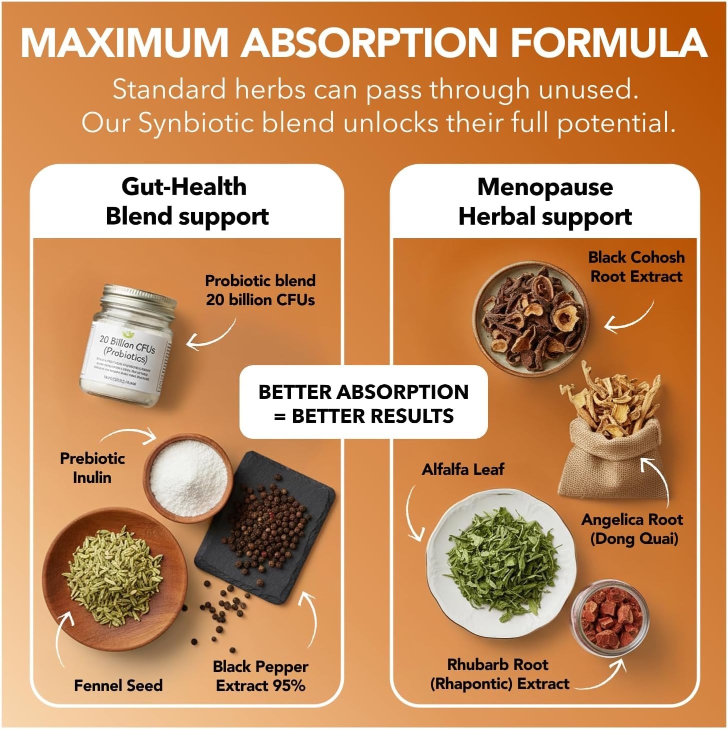 Menopause Support Supplement for Women Synbiotic with Black Cohosh, Dong Quai
