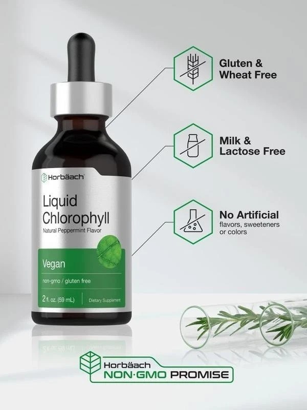 Liquid Chlorophyll Drops 2 oz, Non-GMO, Natural Peppermint Flavor, by Horbaach