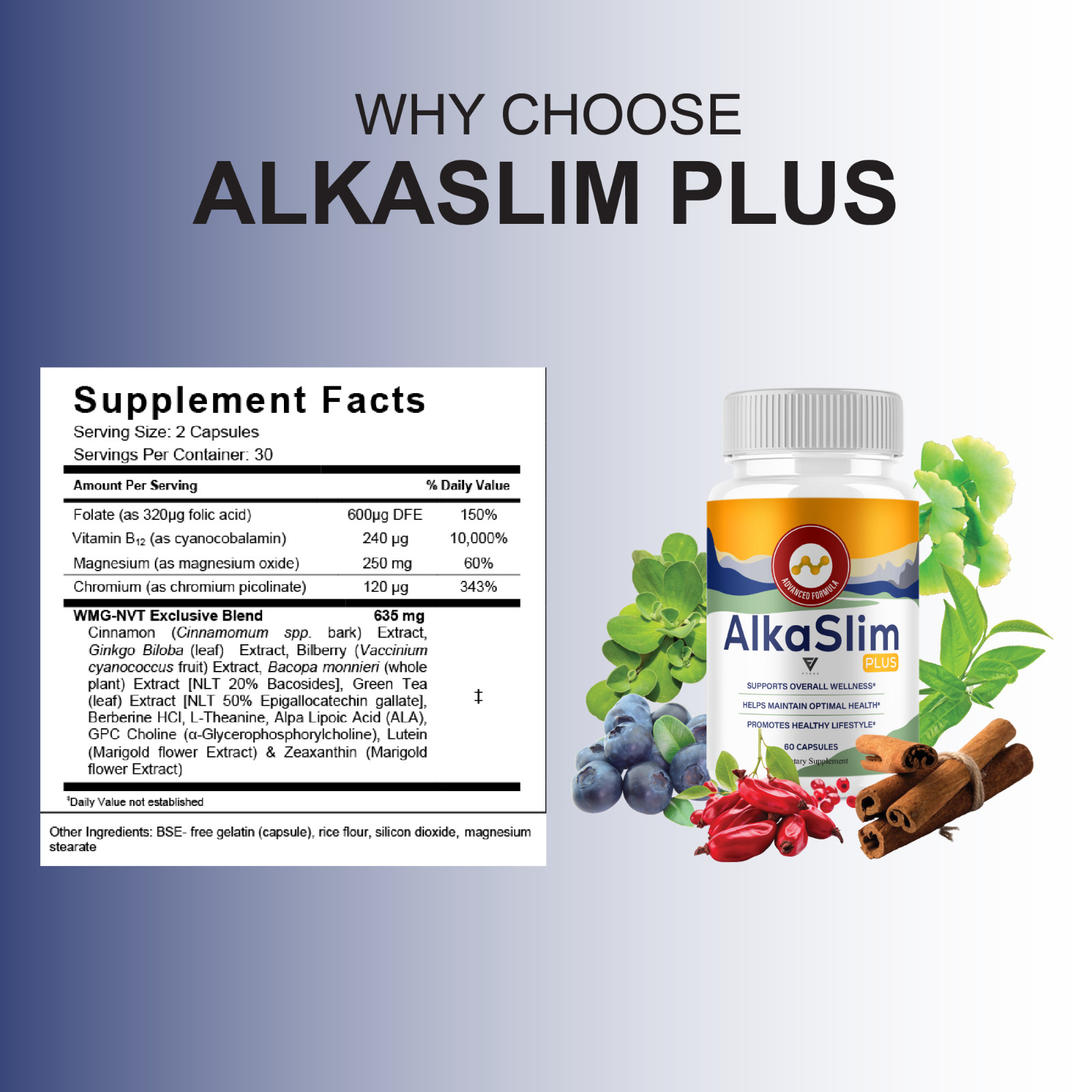 (3 Pack) AlkaSlim Plus Premium Daily Health Supplement (180 Capsules)