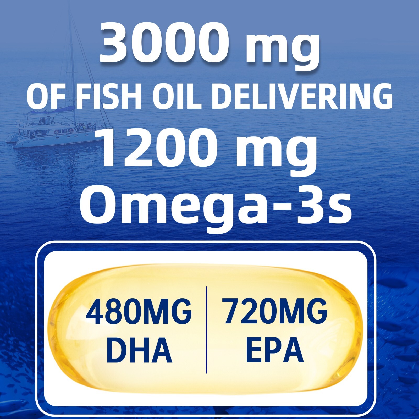 2 Pack 3000mg Omega 3 Fish Oil Supplement w/EPA & DHA,360 Softgels