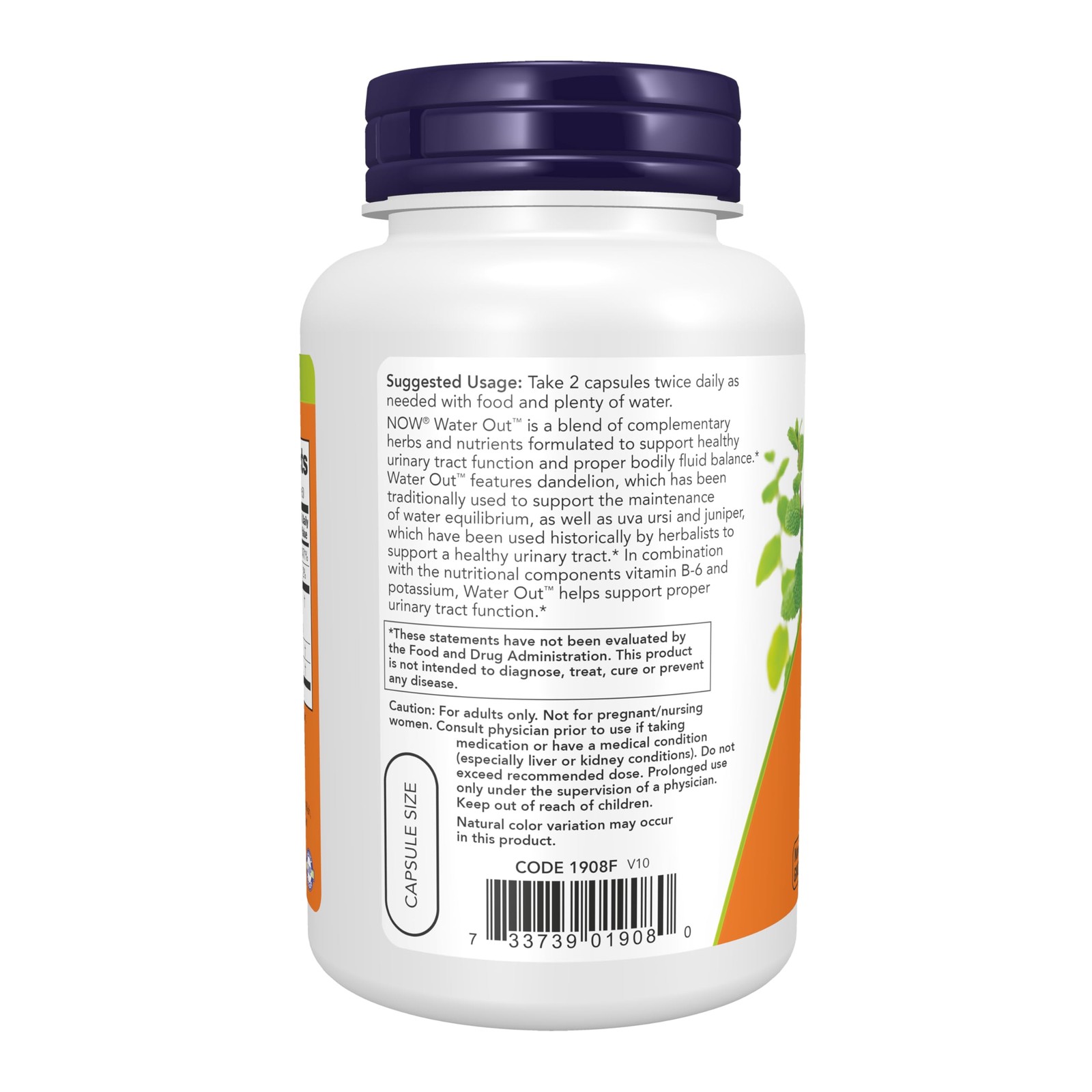 Now Foods Supplements, Water Out With Standardized Uva Ursi, Dandelion, 100 caps