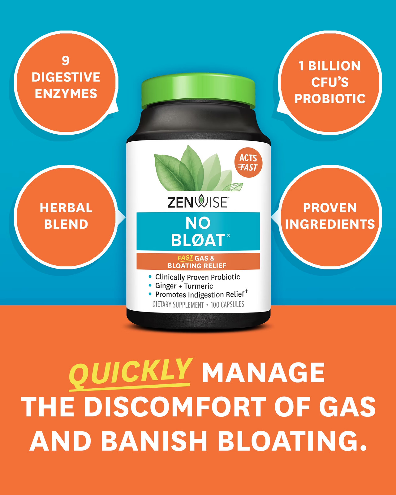 Zenwise Health NO BLØAT – Probiotics for Digestive Health with Ginger, Dandelion