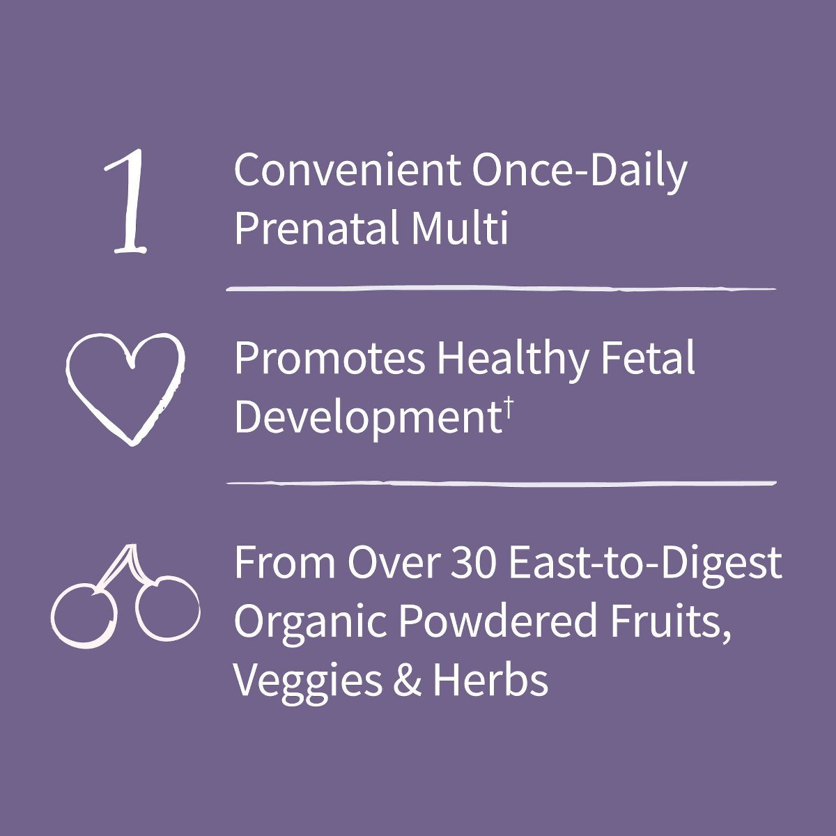 Garden of Life Organic Vegan Prenatal Daily Multivitamin Tablets – 30ct