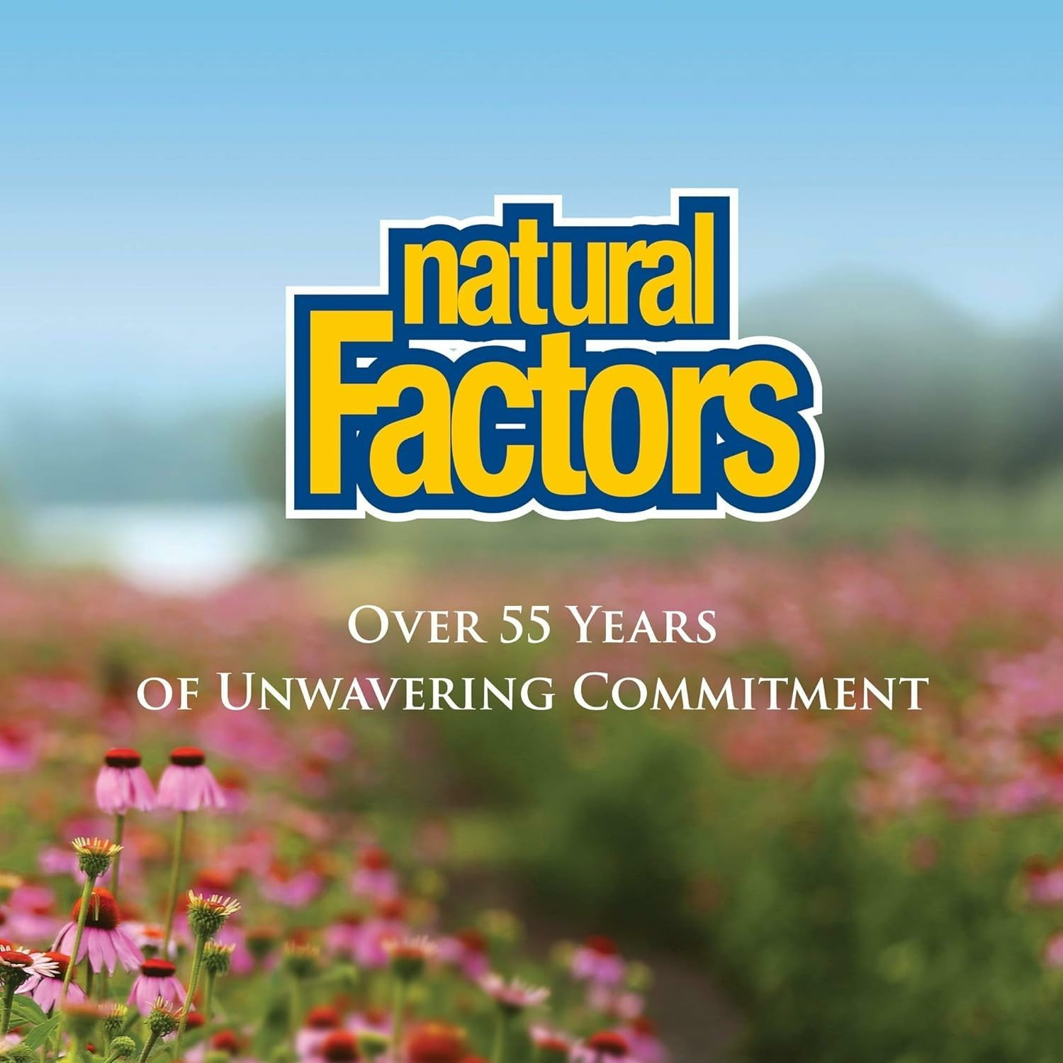 Natural Factors Anti V Liquid Immune Support 3.4 Oz