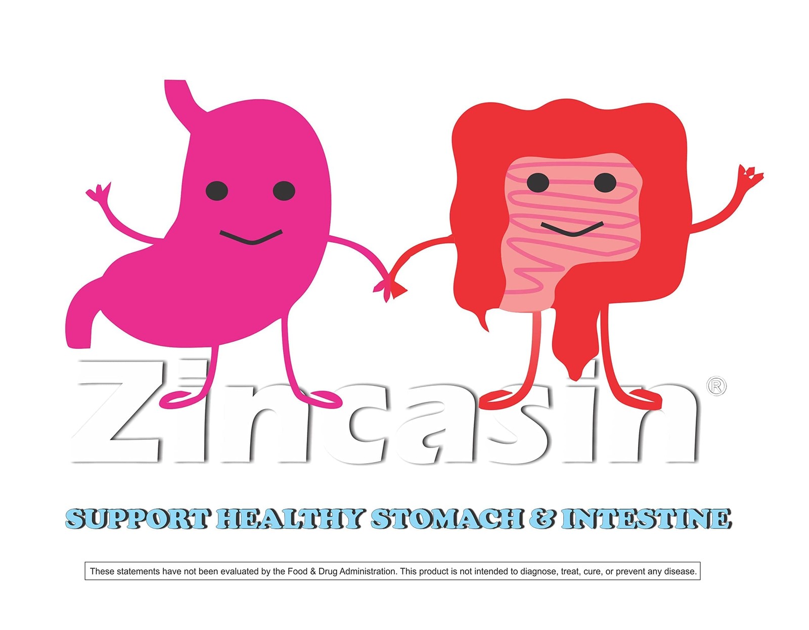 Zincasin Zinc L-Carnosine 75mg x60 | Gut, Immunity, Skin, Hair, Ulcer & IBS Supp