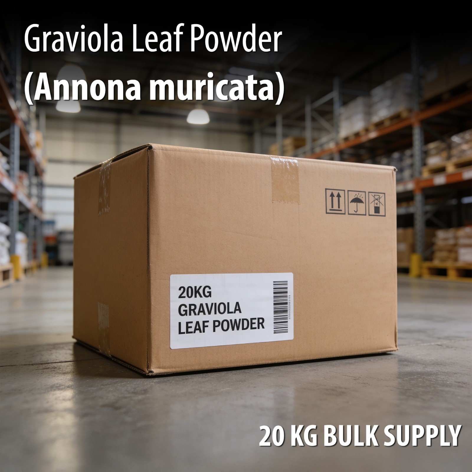 Graviola Leaf Powder 20KG Bulk Annona Muricata | Soursop Wholesale Supply